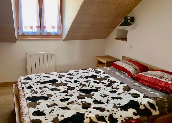 Annecy Sainte Claire Duplex Gare-Lac 4E Etage 4Ou6 Personnes
